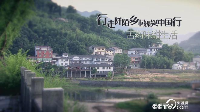 乡土：苦药味甜生活 7月3日