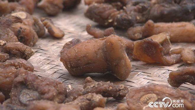 乡土：苦药味甜生活 7月3日