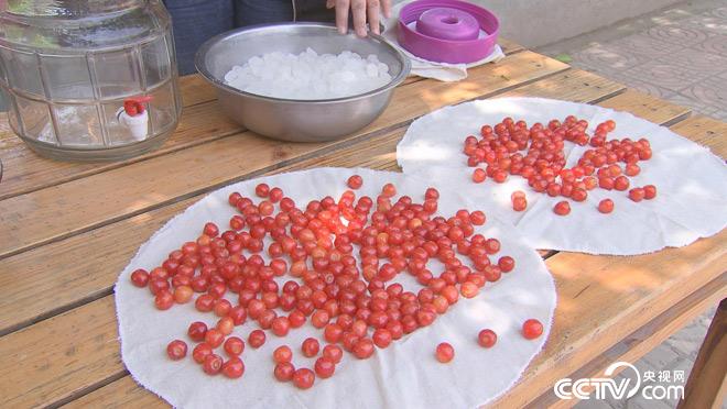 乡土：行走阡陌 乡村振兴中国行 樱桃熟了 7月5日