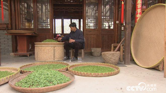 乡土：行走魅力茶乡 紫笋故里寻茶香 7月13日