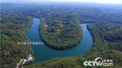 [致富经]惹争议的90后小伙养蛙赚钱顶呱呱 20180730 