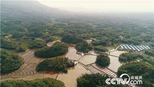 [致富经]惹争议的90后小伙养蛙赚钱顶呱呱 20180730 