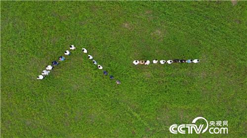 [致富经]当兵是好兵 创业是牛人 20180801 