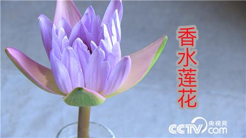 [致富经]当兵是好兵 创业是牛人 20180801 