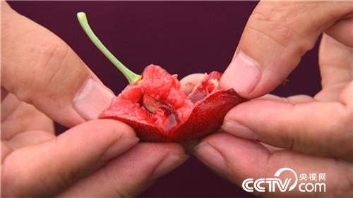 [致富经]58岁被骗只剩200元之后 20180814 