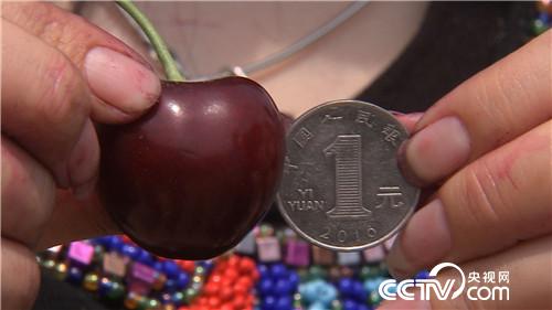 [致富经]58岁被骗只剩200元之后 20180814 