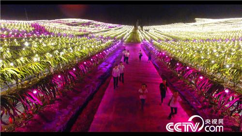 [致富经]灯下来财 94年小伙卖上亿元的秘密20180816 