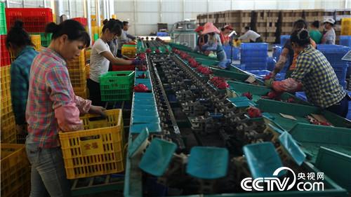 [致富经]灯下来财 94年小伙卖上亿元的秘密20180816 