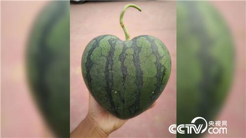 [致富经]小伙迷上&ldquo;一指弹&rdquo; 靠借净赚几百万 20180821 