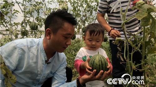 [致富经]小伙迷上&ldquo;一指弹&rdquo; 靠借净赚几百万 20180821 