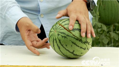 [致富经]小伙迷上&ldquo;一指弹&rdquo; 靠借净赚几百万 20180821 