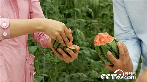 [致富经]小伙迷上&ldquo;一指弹&rdquo; 靠借净赚几百万 20180821 