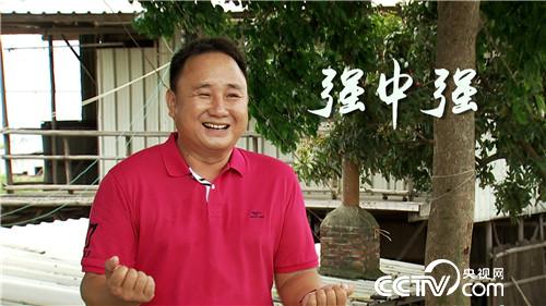 [致富经]倒霉阿强养怪鱼 蔫了吧唧赚大钱 20180823 