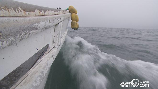 乡土：寻味中国 獐子岛 8月27日
