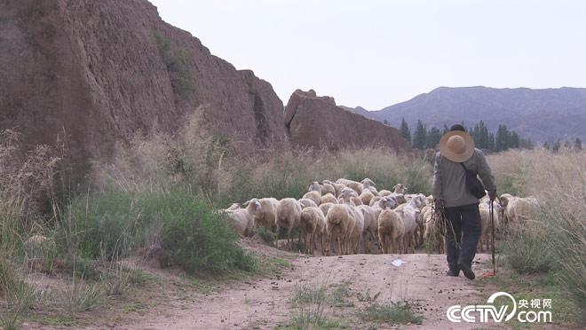 乡土：寻味中国 永昌 8月30日