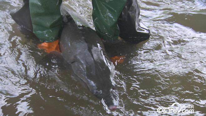 乡土：寻味中国 永昌 8月30日