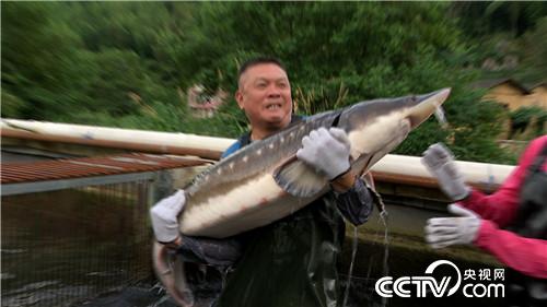 [致富经]带着1000元闯北京 一句话让他巧卖千万 20180904 