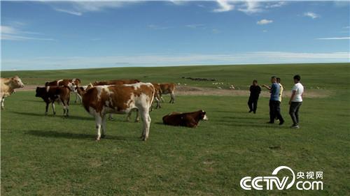 [致富经]神秘坛子为摆地摊小伙带来亿万财 20180910 
