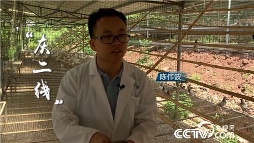 [致富经]被迫接手的赔钱买卖 如何年卖4000万 20180912