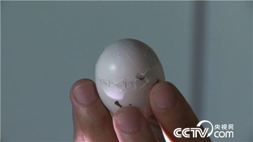 [致富经]被迫接手的赔钱买卖 如何年卖4000万 20180912