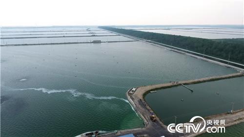 [致富经]二百多名渔民争着跟他养鱼 凭啥？ 20180913 