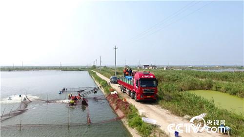 [致富经]二百多名渔民争着跟他养鱼 凭啥？ 20180913 