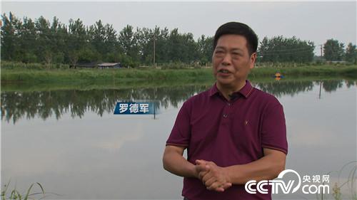 [致富经]憋屈大叔被逼养虾 靠一个字年卖千万 20180918 