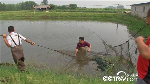 [致富经]憋屈大叔被逼养虾 靠一个字年卖千万 20180918 