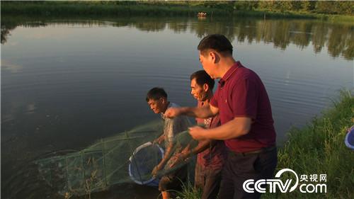 [致富经]憋屈大叔被逼养虾 靠一个字年卖千万 20180918 