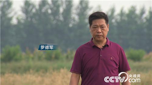 [致富经]憋屈大叔被逼养虾 靠一个字年卖千万 20180918 