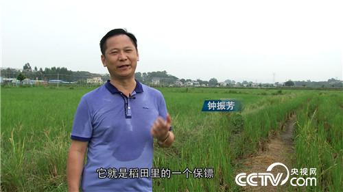 [致富经]父亲写下一个字 孝子种出亿万财 20180919 