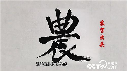 [致富经]父亲写下一个字 孝子种出亿万财 20180919 