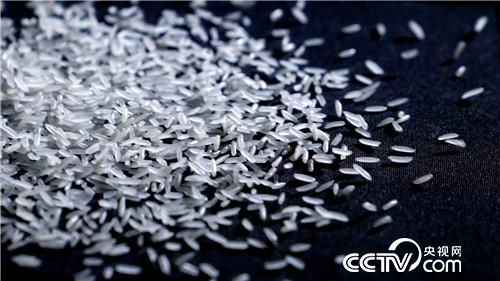 [致富经]父亲写下一个字 孝子种出亿万财 20180919 