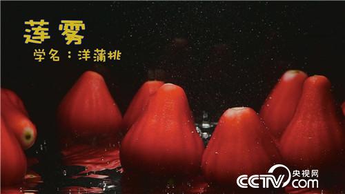 [致富经]三个女人一台戏 稀奇招法卖千万 20180920 