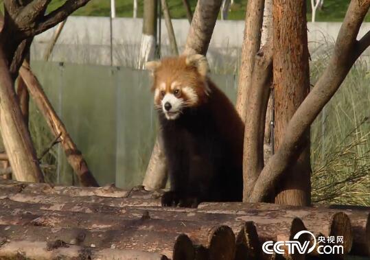 食尚大转盘：玩转乡村-诱惑四川 10月1日