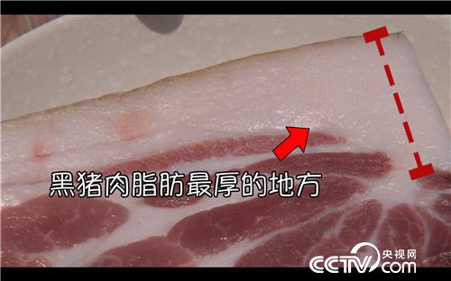 [致富经]父亲的一个梦 女儿靠养黑猪来实现 20181008