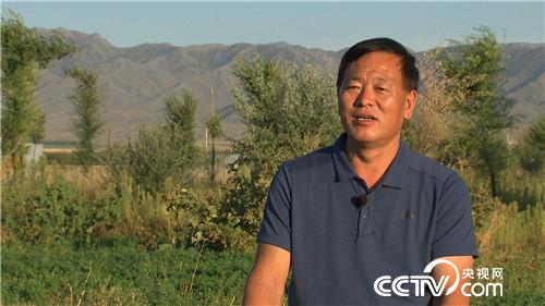 [致富经]骑马放鹅 让财富飞起来 20181029 