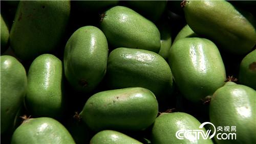 [致富经]跟往事干杯 单身辣妈年赚百万 20181106