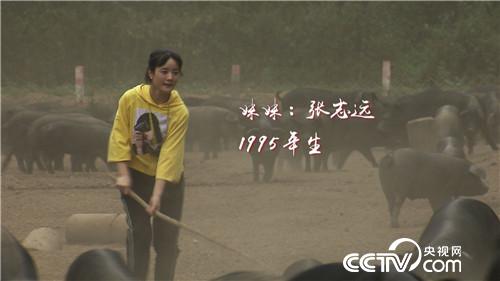 [致富经]90后姐妹花怪招养黑猪 一头多卖2000多元 20181113 