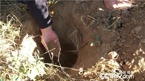 [致富经]白了头发 红了财富 他把黄沙变黄金 20181119 