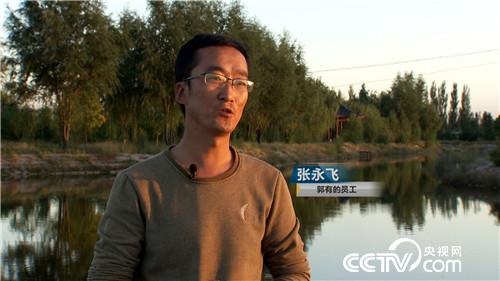 [致富经]白了头发 红了财富 他把黄沙变黄金 20181119 