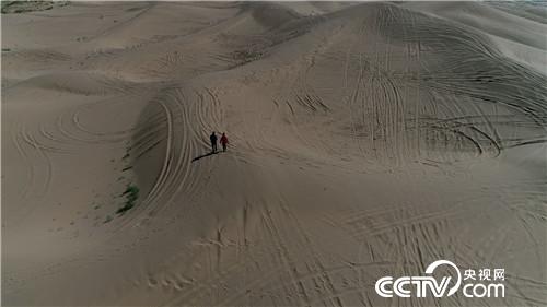 [致富经]白了头发 红了财富 他把黄沙变黄金 20181119 