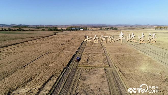 乡土：七台河的丰收生活 11月23日