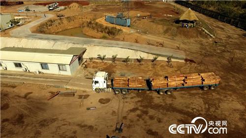 [致富经]藏在非洲丛林里的狂野财富 20181127 