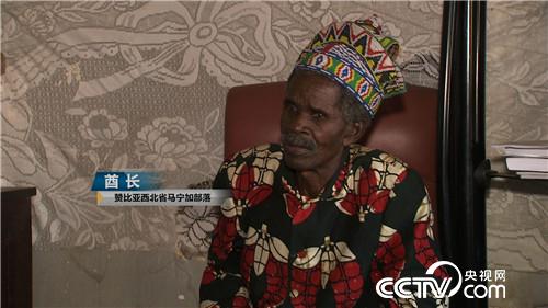 [致富经]藏在非洲丛林里的狂野财富 20181127 