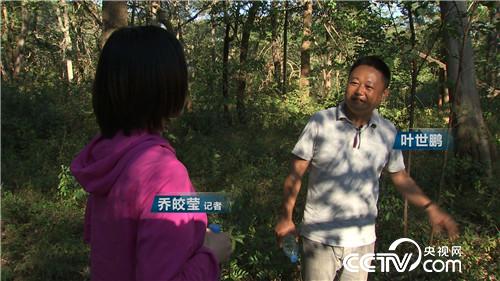 [致富经]藏在非洲丛林里的狂野财富 20181127 