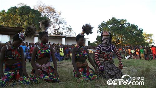 [致富经]藏在非洲丛林里的狂野财富 20181127 