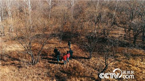 [致富经]爱折腾的人 干折腾的事 赚折腾的钱 20181203 