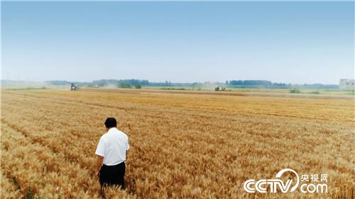 [致富经]了不起 中国农民&mdash;&mdash;致敬改革开放40周年 第一集 禾下土 20181217 