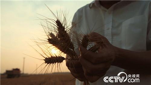 [致富经]了不起 中国农民&mdash;&mdash;致敬改革开放40周年 第一集 禾下土 20181217 